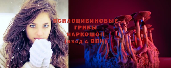 spice Богородицк