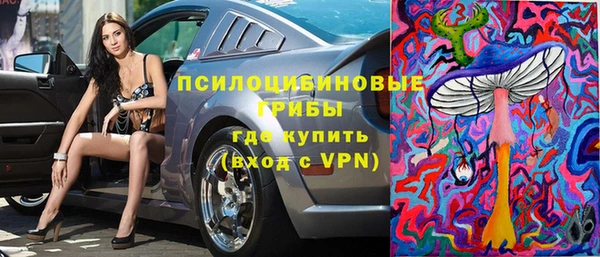 apvp Богданович