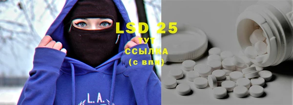 spice Богородицк