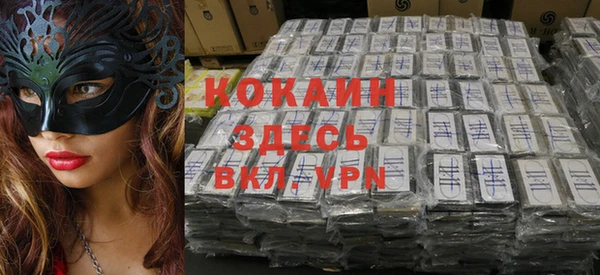 spice Богородицк