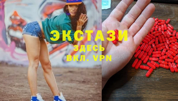 spice Богородицк