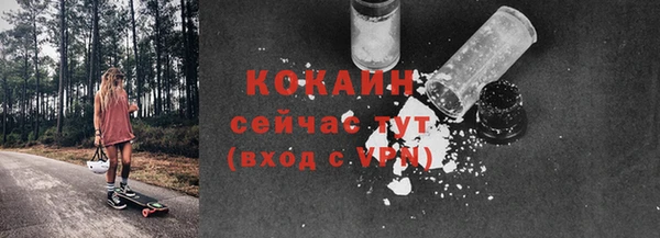 spice Богородицк