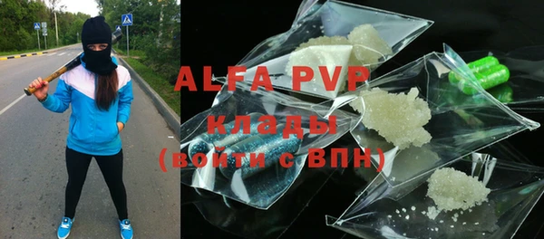 spice Богородицк