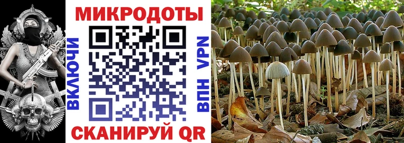 хочу   Реж  Галлюциногенные грибы Magic Shrooms 